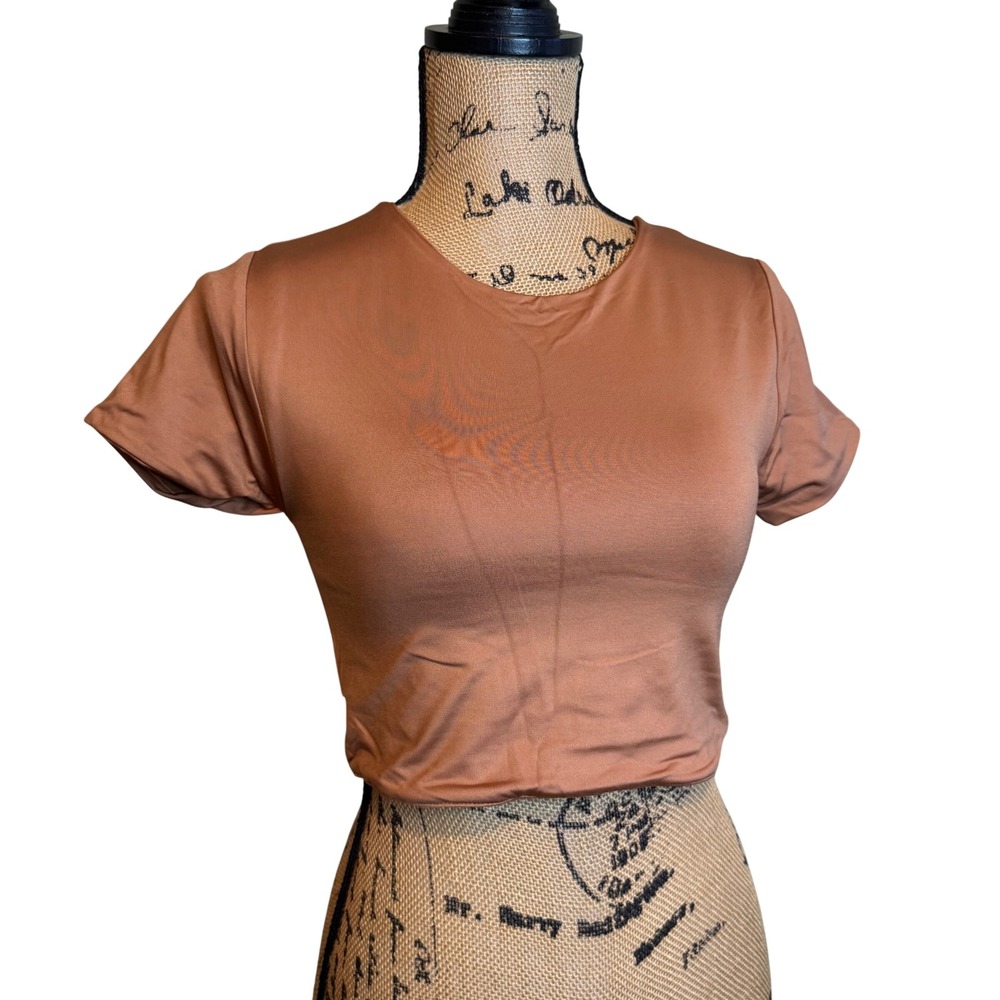 NWOT Athleisure Basics Streetwear Y2K Crow Neck Crop Top‎ Tee Rust Orange Small
